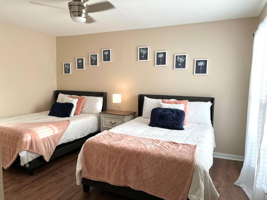 Lovely 2 Bedroom/2 Bath Houston, Heights/Galleria エクステリア 写真